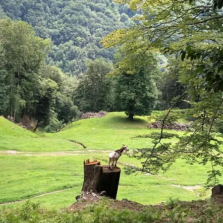 Casa Dell'arte Hébergement de vacances