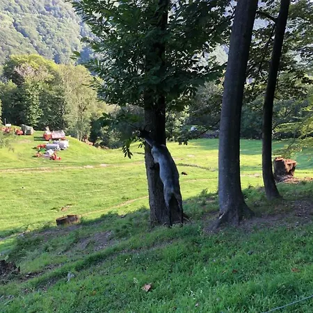 Hébergement de vacances Casa Dell'arte