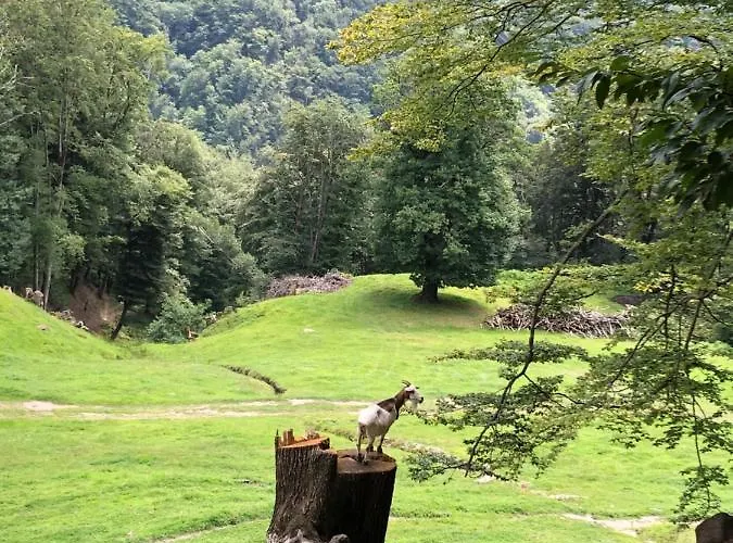 Casa Dell'arte Hébergement de vacances